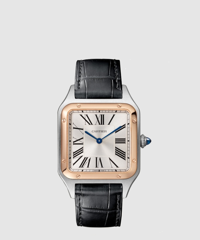 산토스-뒤몽 43.5 W2SA0011