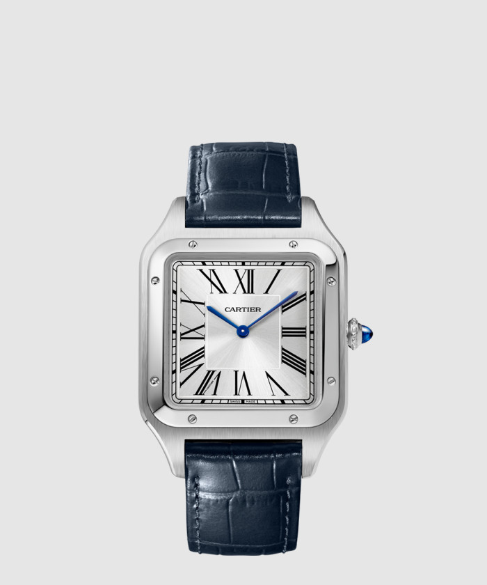 산토스-뒤몽 46.6 WSSA0032