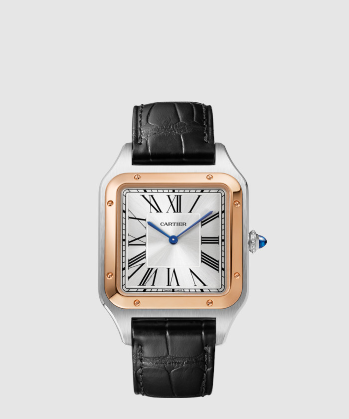 산토스-뒤몽 46.6 W2SA0017