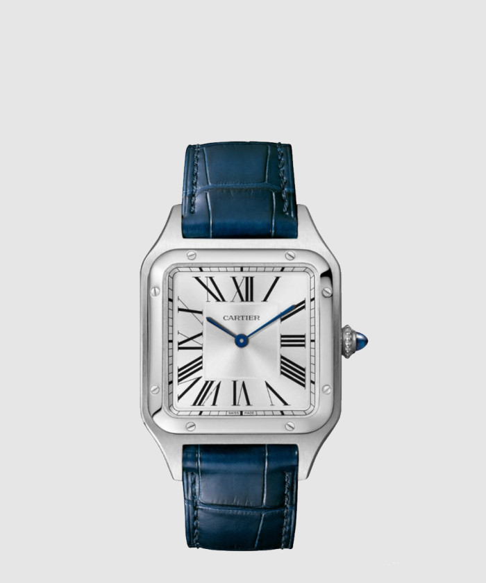 산토스-뒤몽 43.5 WSSA0022