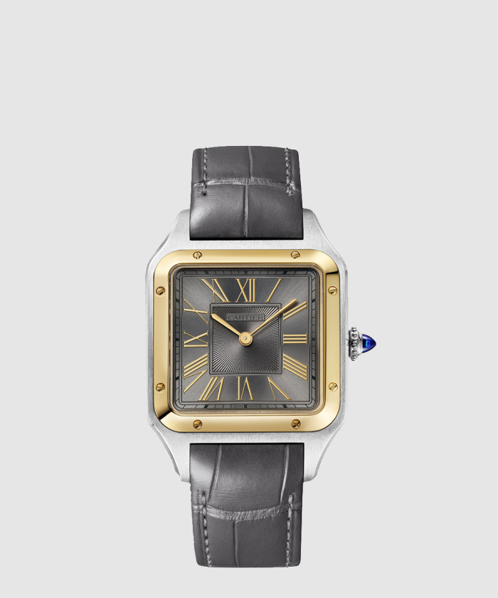 산토스 뒤몽 43.5 W2SA0028