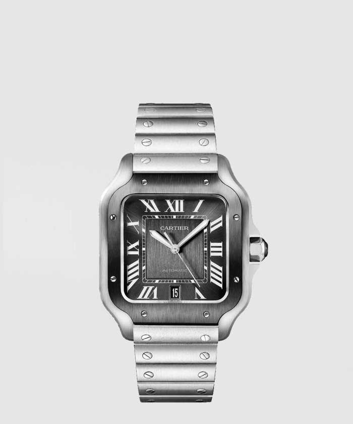 산토스드 까르띠에 워치 39.5 WSSA0037