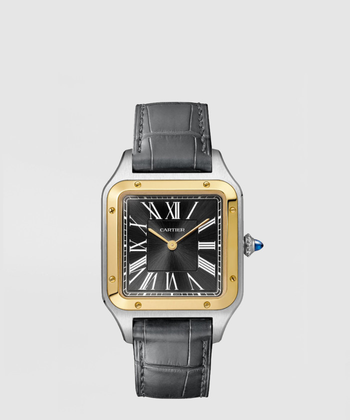 산토스 뒤몽 43.5 W2SA0015