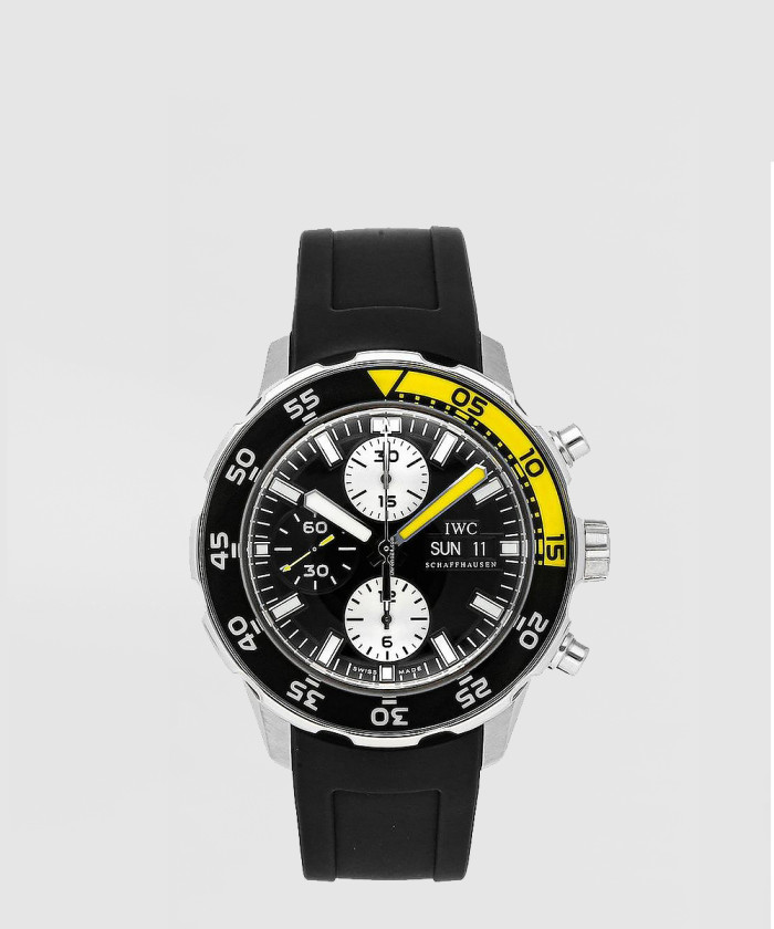 아쿠아타이머 오토매틱 44 IW376702