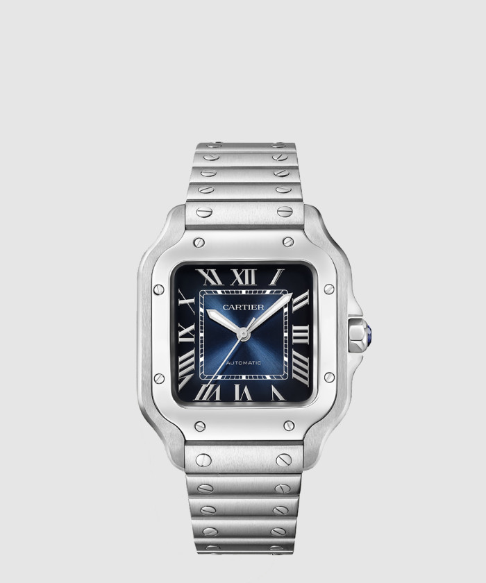 산토스 드 까르띠에 35.1 WSSA0061