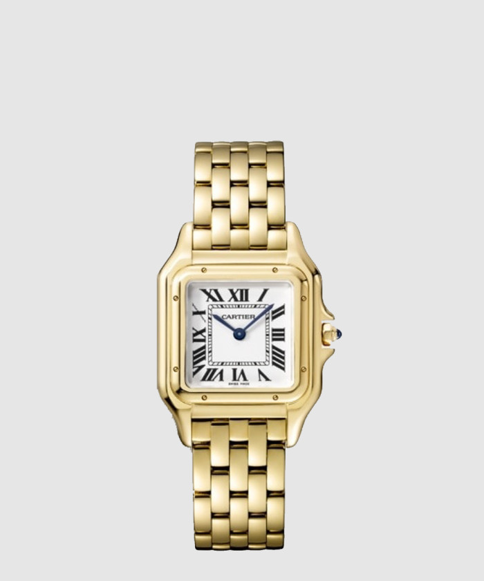 팬더 드 까르띠에 금통 27 WGPN0009