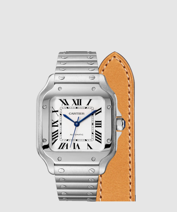 산토스 드 까르띠에 35.1 WSSA0029