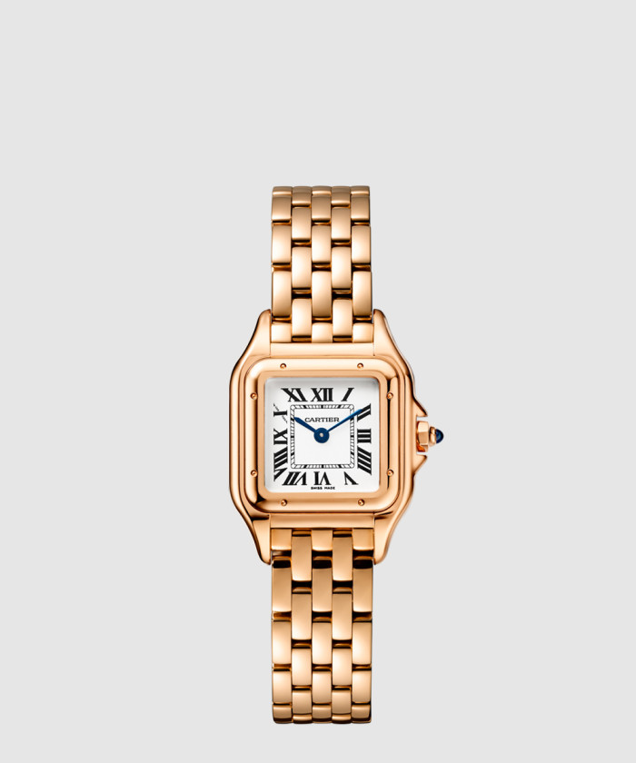 팬더 드 까르띠에 금통 22 WGPN0006