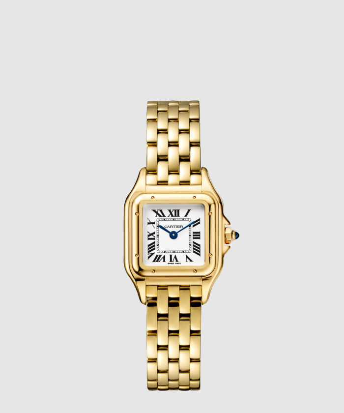 팬더 드 까르띠에 금통 22 WGPN0008